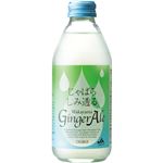 i܂Ƃߔj΂炵ݓ Wakayama GingerAle 250ml~12Zbg