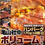 【2012年2月29日まで ハンバーグ2個おまけ付き】亀山社中 焼肉ボリュームセット 5.5kg