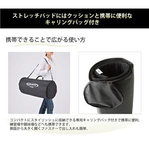 エアムーヴ（AIRMOVE）ストレッチパッド（クッション＆キャリーバッグ付き） 日本製 三次元網状構造 洗える 快眠 体圧分散マットレス ブラック