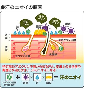 デオドラントクリーム メンズラヴィリン フォーアンダーアーム 12.5g【医薬部外品】