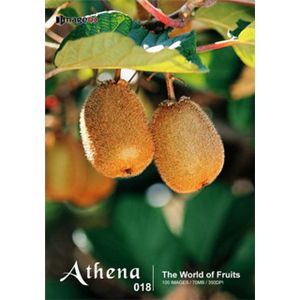 写真素材 imageDJ Athena Vol.18 果物の景色