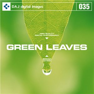 写真素材 DAJ035 GREEN LEAVES 【フレッシュな新緑イメージ】