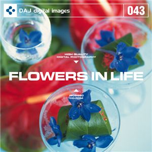 写真素材 DAJ043 FLOWERS IN LIFE 【花のある生活】