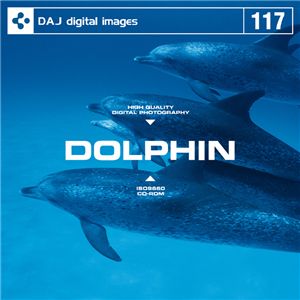 写真素材 DAJ117 DOLPHIN 【イルカ】