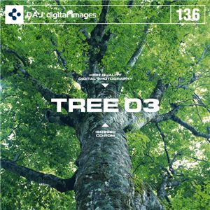 写真素材 DAJ136 TREE 03 【樹木百選 03】