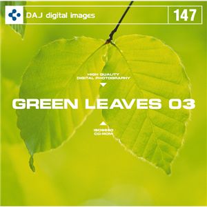 写真素材 DAJ147 GREEN LEAVES 03 【フレッシュな新緑イメージ 03】