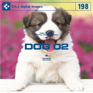 写真素材 DAJ198 DOG 02 【かわいい子犬 02】