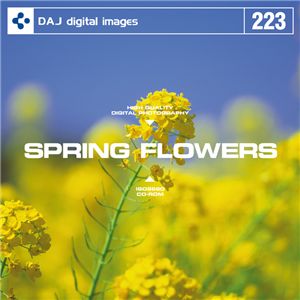 写真素材 DAJ223 ＳＰＲＩＮＧ ＦＬＯＷＥＲＳ 【春の花】