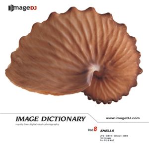 写真素材 imageDJ Image Dictionary Vol.8 貝