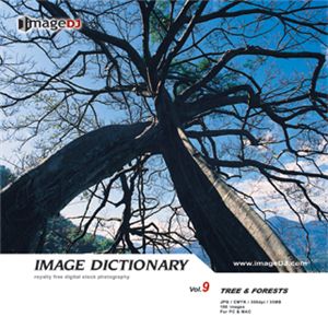 写真素材 imageDJ Image Dictionary Vol.9 木と森