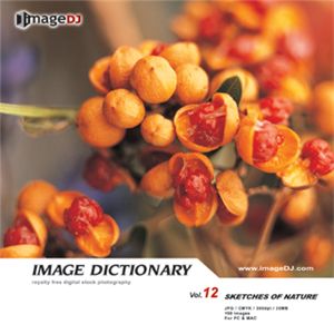 写真素材 imageDJ Image Dictionary Vol.12 自然
