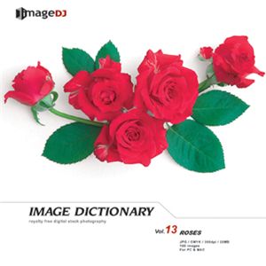 写真素材 imageDJ Image Dictionary Vol.13 薔薇