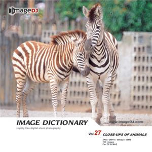 写真素材 imageDJ Image Dictionary Vol.27 動物