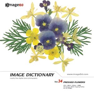 写真素材 imageDJ Image Dictionary Vol.34 押花