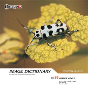 写真素材 imageDJ Image Dictionary Vol.38 昆虫