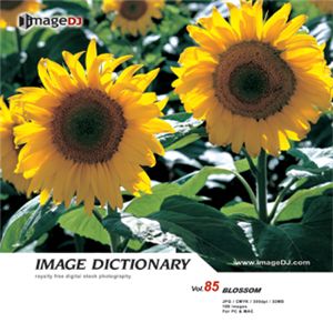 写真素材 imageDJ Image Dictionary Vol.85 花 (2)
