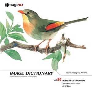 写真素材 imageDJ Image Dictionary Vol.96 鳥 (水彩画)