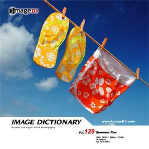 写真素材 imageDJ Image Dictionary Vol.129 サマー　エンジョイ