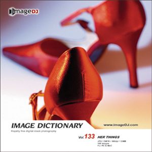写真素材 imageDJ Image Dictionary Vol.133 バニティー　ケース
