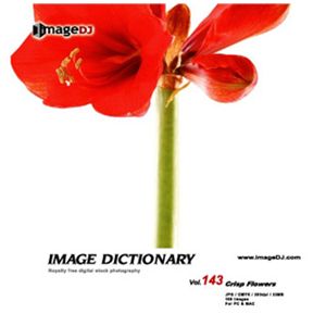 写真素材 imageDJ Image Dictionary Vol.143 さわやかな花