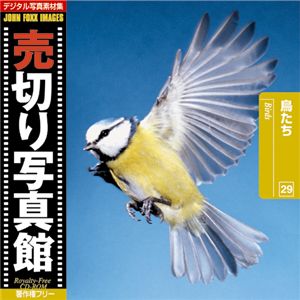 写真素材 売切り写真館 JFI Vol.029 鳥たち Birds