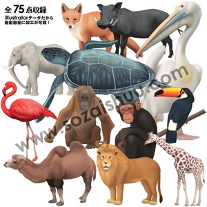 「動物イラスト素材集」CD-ROM/Illustrator版