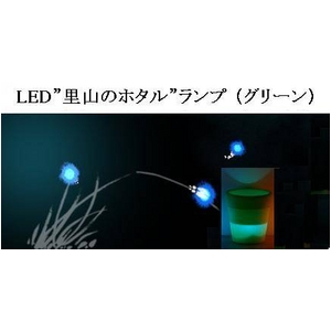 LEDΤΥۥɥ ʥ꡼