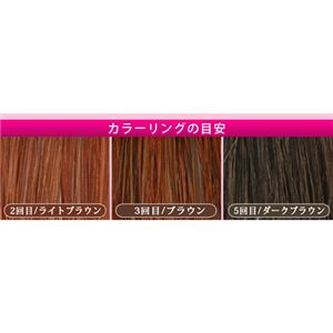 光で簡単カラーリング 白髪用ヘアクリーム 3light（サンライト）