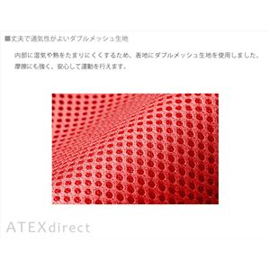 ATEX（アテックス） 腹筋！座いす AX-HC151 レッド