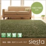 ラグマット 190×190cm【siesta】ブラウン 吸湿・発熱・防ダニシャギーラグ【siesta】シエスタ