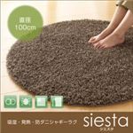 ラグマット 直径100cm(円形)【siesta】グリーン 吸湿・発熱・防ダニシャギーラグ【siesta】シエスタ
