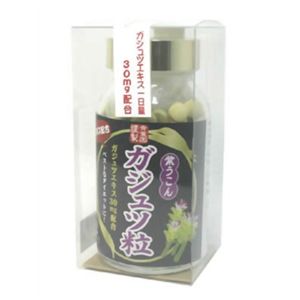 青葉園 ガジュツ エキス粒 100g(約400粒)