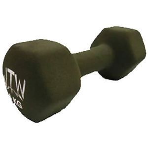 JTW キュートカラーアレー 6.0kg グリーン