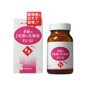 華舞の1兆個の乳酸菌 EC-12 240球