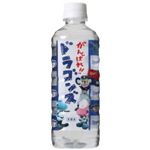 がんばれ!!ドラゴンズ 天然水 500ml*24本