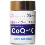 アーテム エネルギーサポート CoQ-10 40粒