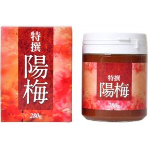 特撰 陽梅 280g