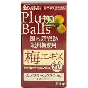 国内産完熟紀州梅使用梅エキス粒 90g