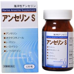 アンセリンS 120粒