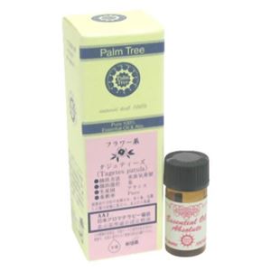 Palm Tree タジェティーズ 5ml