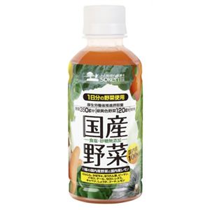 創健社 国内産野菜100%使用 食塩砂糖無添加 国産野菜 200g*30本