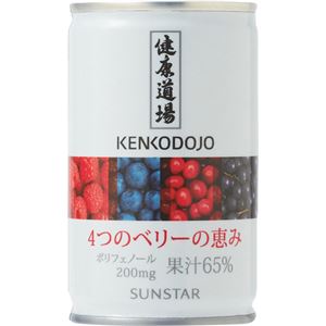 健康道場 4つのベリーの恵み 160g*30缶