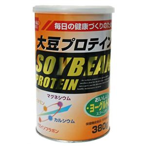 大豆プロテイン 380g