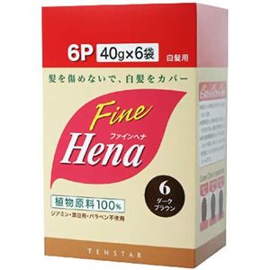 テンスター ファインヘナ ダークブラウン お徳用 240g