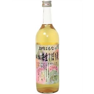 梅生しぼり液 720ml