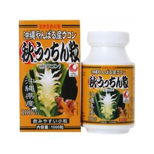 生き生き元気 秋うっちん粒 沖縄やんばる産ウコン 1000粒