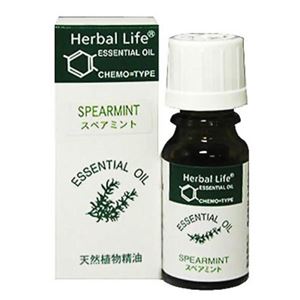 Herbal Life スペアミント 10ml