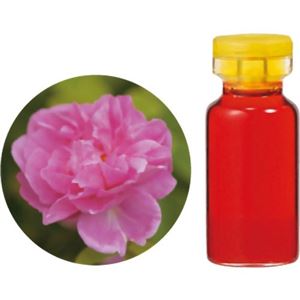 生活の木 花精油 ダマスクローズAbs.(ブルガリア産) 1ml