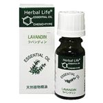 Herbal Life ラバンディン・グロッソ 10ml