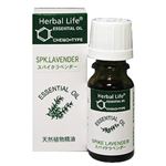 Herbal Life スパイク・ラベンダー 10ml